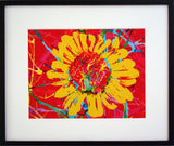 Sunflower - Maria Cardelli Fashion Accessories